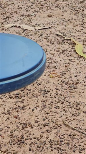 ทดสอบเครื่องหาทอง Minelab SDC 2300 ในสนามจริง