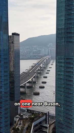 Floating Cities Are Here! The Future of Living on Water Explained