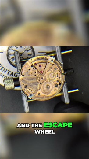 The Tiny Gears That Make Your Watch, Miniature Masterpiece #horology #omega #omegaseamaster