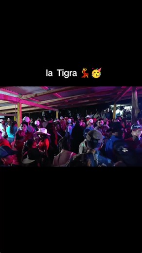 la Tigra.. #fhypシ🔥❤️ #paratiiiiiiiiiiiiiiiiiiiiiiiiiiiiiii #tik_tok #viral_video