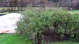 1.9K views · 59 reactions | At select practices inside Lankenau...