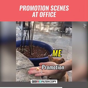 117K views · 1.7K reactions | relatable.mp4 | FilterCopy | Facebook