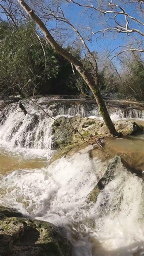 Nature Reborn: Spring Waterfall Aesthetics ✨ | 4K UHD Nature #blooming #scenery