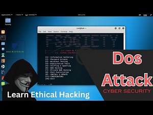 Denial of Service (DoS) Attacks: How They Work | Hackers Hub