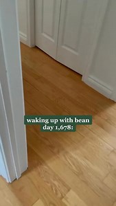 29K views · 130K reactions | Say It, Don’t Spray It  Start your morning by waking up with Bean (the loudest orange cat you’ll ever meet) ☕️ Daily chaos, dramatic meows, and Beauty judging it all  Follow along for a new episode every day! #beautynthebean #funnycats #orangecat #catvideo #meow | Beauty and the Bean | Facebook