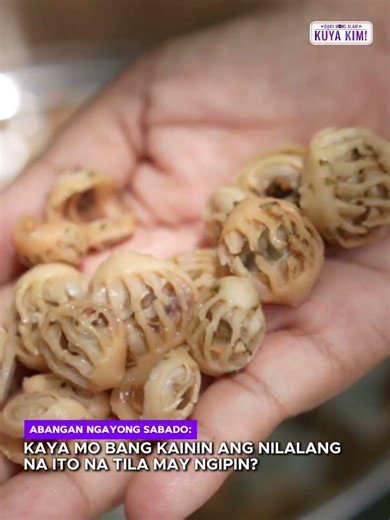 Nilalang na tila may ngipin, kaya n’yo bang kainin? | Dami Mong Alam, Kuya Kim!
