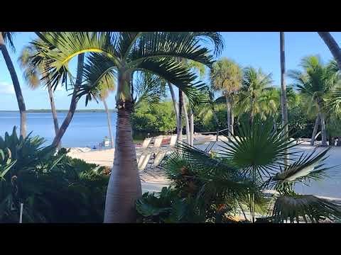 Hampton Inn Key Largo Bay View Balcony!