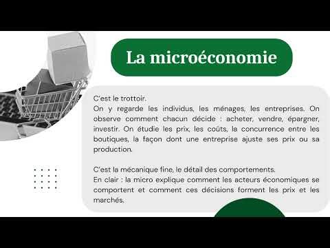 Parlons économie sans stress avec ROLAND BOA : Microéconomie vs Macroéconomie