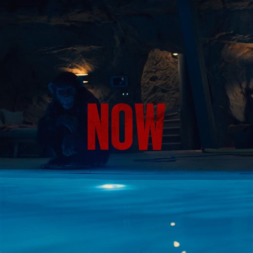 Something's wrong with Ben! Primate, a new kind of horror movie, is now playing only in theaters. Get your tickets for Studio Movie Grill now! | Studio Movie Grill