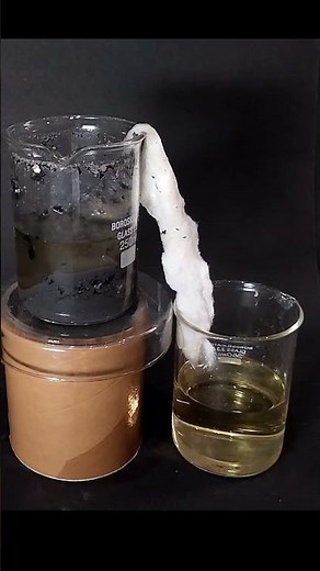 This Rocket Fuel Came from Wood! 🔥 Watch Now! #experiment #rocketfuel #potasssiumnitrate