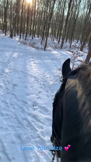 Winter Horse Riding Adventure in the Snowy Forest