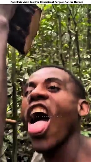 When a tree branch is cut, ten liters of water comes out.