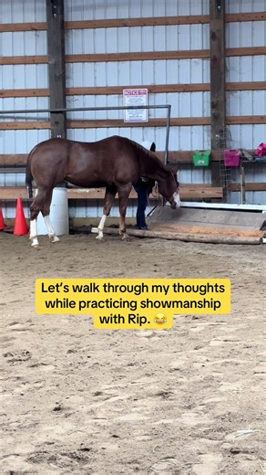 Practicing Showmanship with Rip: Hilarious Moments