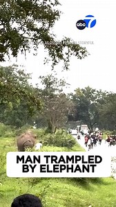 Man trampled by startled elephant