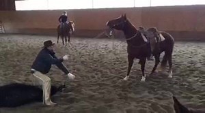 152 reactions · 12 shares | MSU Colt Starting Class on Reels | Facebook