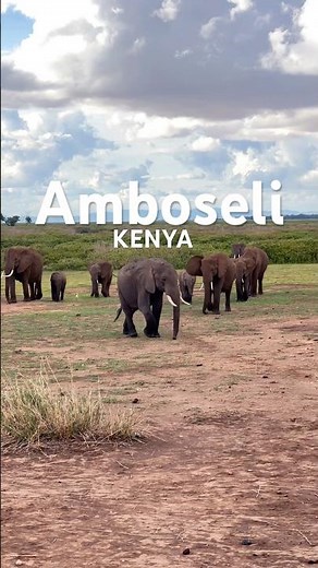 Kenya 🇰🇪 / Amboseli National Park