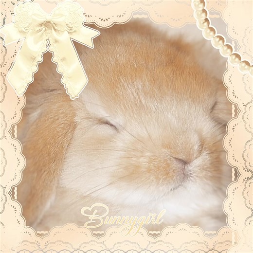 mecore #bunny #literallyme