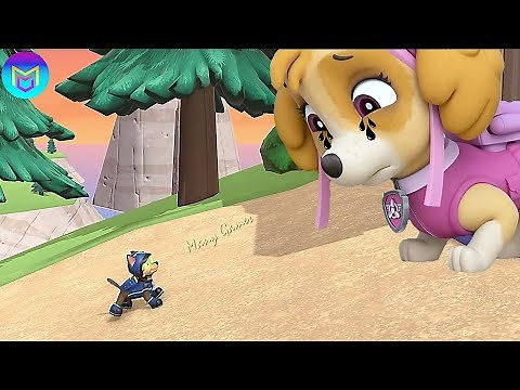 Những Chú Chó Cứu Hộ 😈 PAW Patrol Mighty Pups On A Roll 👀 Chase vs Zuma Ultimate Rescue Mission
