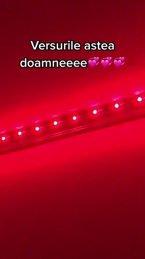 Stunning Red LED Strip Light Display in Dark Environment