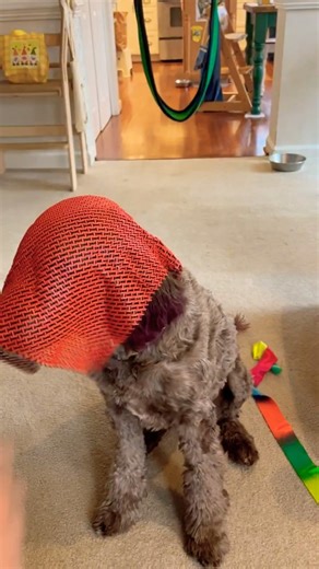 3-D printed ChainMail