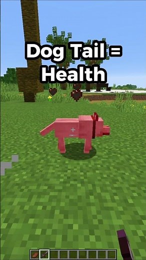 Minecraft Mythbusting 🥰