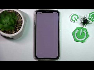 iPhone 12 – How to Fix Google Search App Issues on iOS