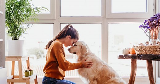 Animaux de compagnie : d'où vient cette passion française ?