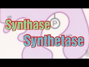 Synthase/ Synthetase/ Biochemistry #synthase #synthetase