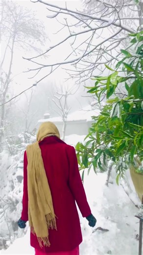 Understanding Snowfall: Causes and Effects