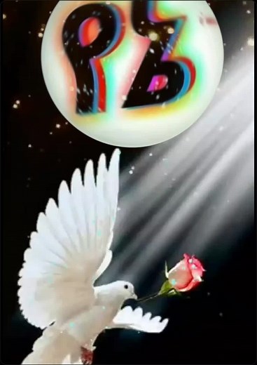 Dove Animation with Colorful Text Effects