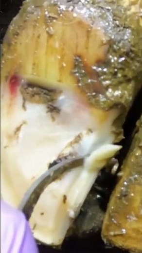 i pulled this RUSTY SCREW out of A COW's hoof! #hoofgp #relief