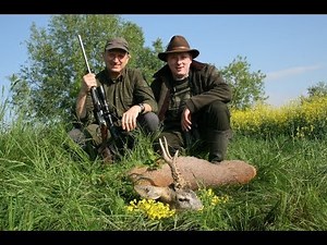 Roe deer hunting in Romania 2 ; Chasse des brocards en Roumanie 2; Rehbock Jagd in Rumänien