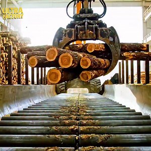 Wood Sawmill Factory - How Pencils Are Made | Ultra Factory