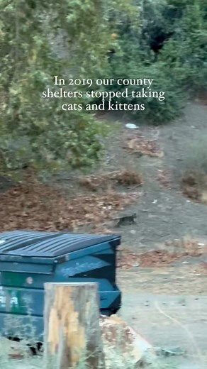 6.4K views · 106 reactions | $5 Friday — It’s been a busy week and we...