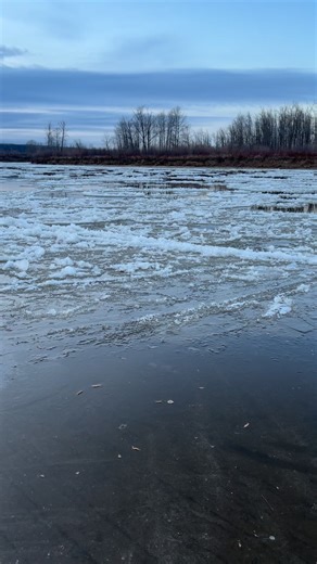 Miguel on Instagram: "Canadian ASMR"