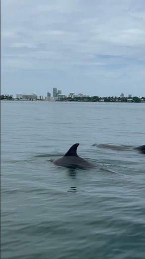 Miami Beach| best jet ski tour in Miami| fun things to do in Miami! | jet ski Miami| Miami jet ski