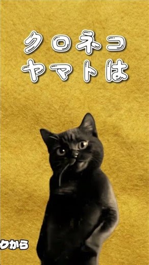 Kuroneko Yamato is within the prefecture and is cheap.