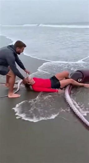 Giant Squid Grabs Girl On The Beach#danger #beach #giantsquid | Giant Squid