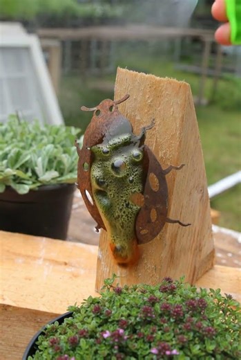 Rusty Ladybug Rescue! 🐞 Garden Decor ASMR