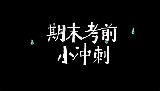 期末小冲刺1.0陪伴向 希望成为你的学习背景音～～