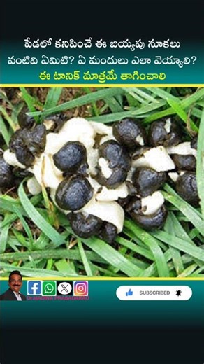 ఏమిటి ఈ బియ్యపు నూకలు? ఇది కూడా వ్యాధి నా? #drmadina