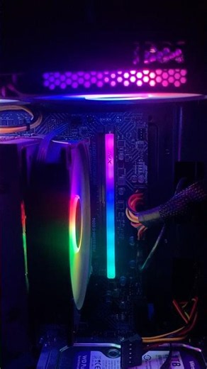 Why Everyone Is Buying XPG RGB RAM Right Now