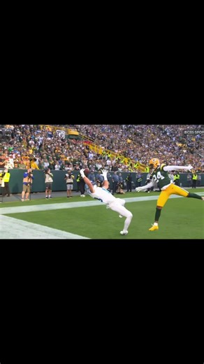 Exploring Peak Detroit Sports: Red Wings, Pistons, Lions, Tigers