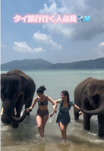 タイ旅行のベストシーズンとおすすめ情報