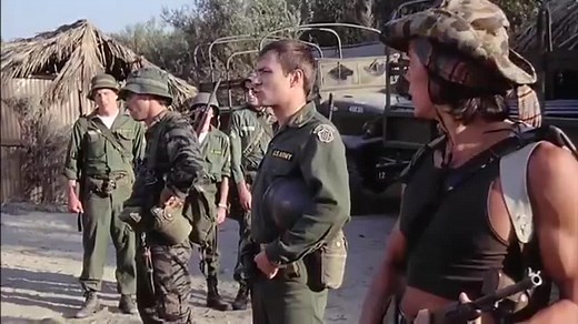 Go Tell the Spartans (1978)
