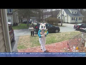 Easter Bunny Gets Jump On Holiday, Visits Homes In Auburn