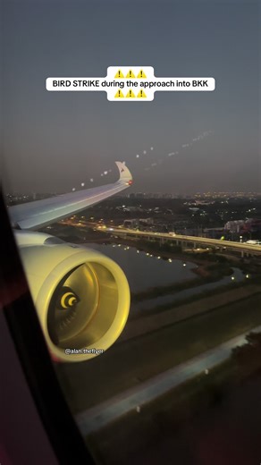 A brand new Airbus A350-1000 🙃 Luckily the aircraft didn’t suffer any major damage since it flew back to Doha just a few hours later with an on time departure #birdstrike #aviation #a350 #qatarairways #aviationlovers