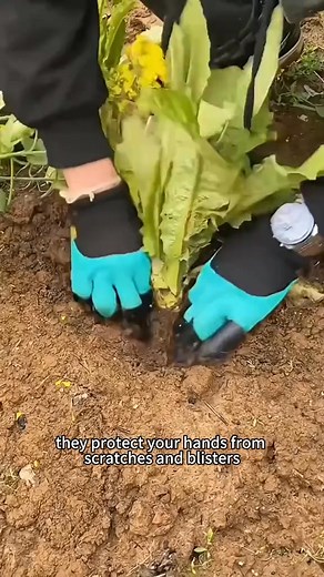 Work smarter not harder with these garden digging gloves with actual claws that helps you dig , plant & remove effortlessly! 理 | Likeloised | Facebook