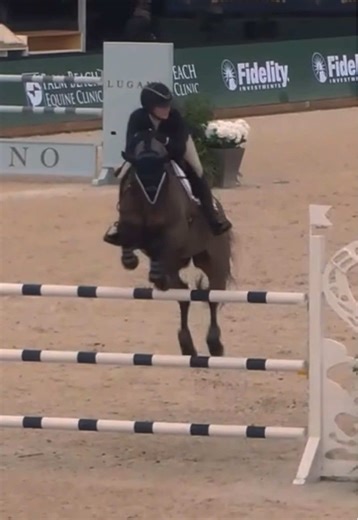 Diggy's Perfect Performance in Highs