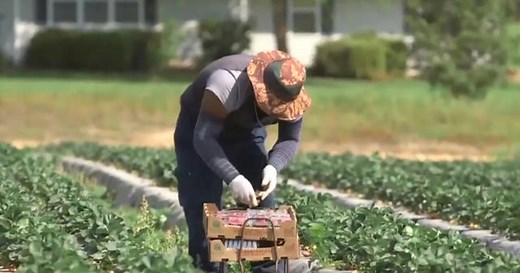 Millions of Americans file for unemployment during coronavirus pandemic